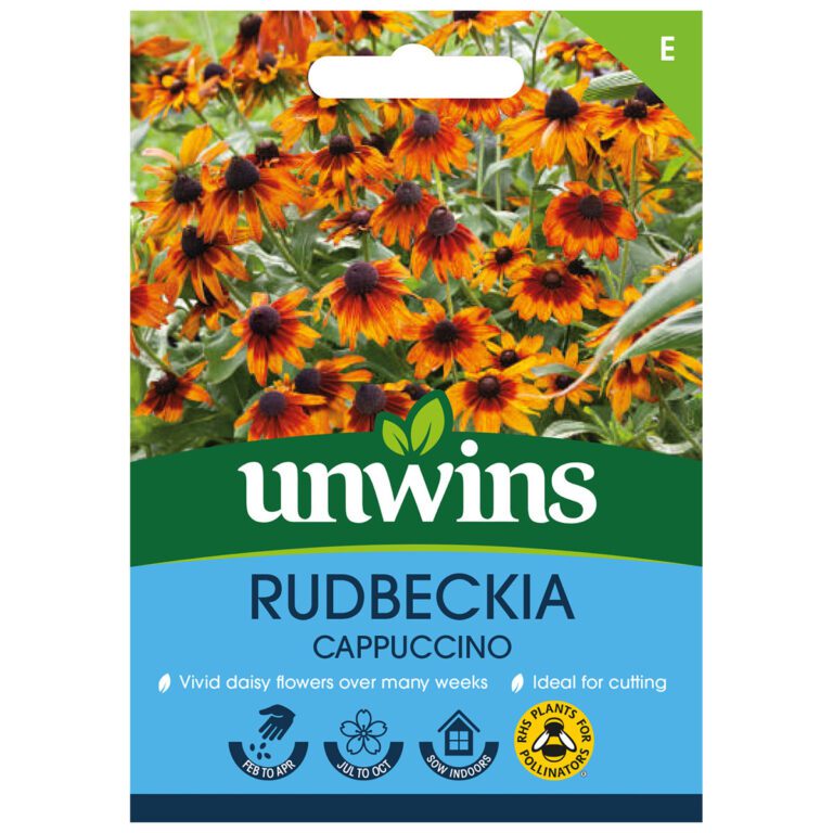 5051618027304 1 Rudbeckia Cappuccino Seeds.jpg